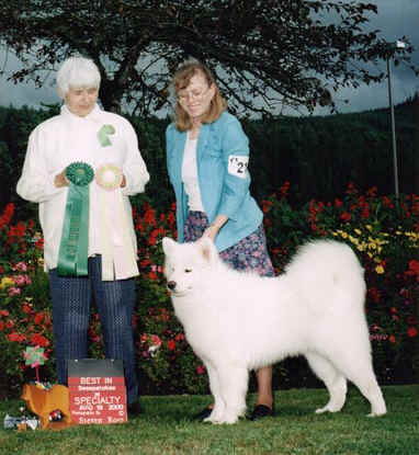 Best Puppy in Sweepstakes  SCWS 2000